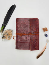 Load image into Gallery viewer, Book Andromeda