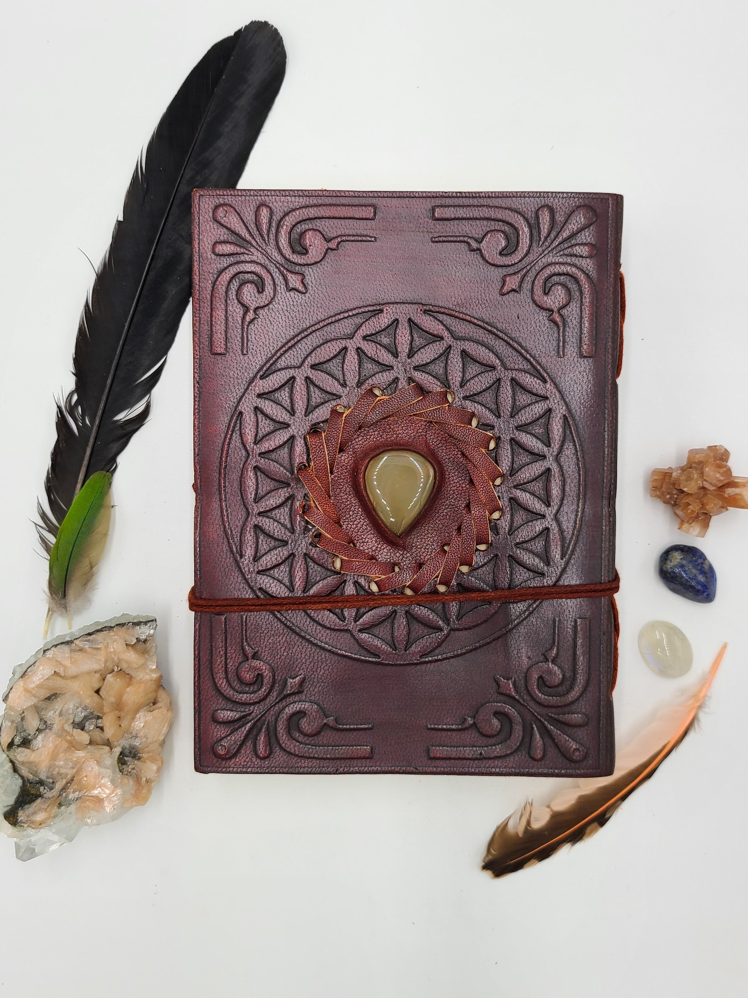 Book Andromeda